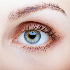 Close-up of female face with eye makeup