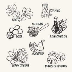 Line drawing natural food. Vector hand drawing food elements for