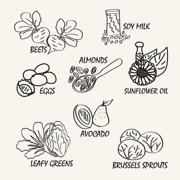 Line Drawing Natural Food. Vector Hand Drawing Food Elements For