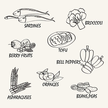 Food vector design. Line drawing natural food. Vector hand drawi