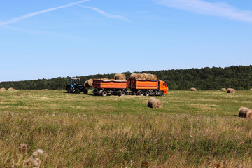 Fototapeta na wymiar field truck tractor harvesting