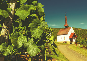 Picturesque vineyard landscape with vines growing on hills and a small old chaple. Germany, Black Forest, Kaiserstuhl. Wine-making background. Vintage effect.