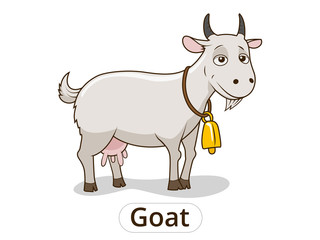 Goat animal cartoon illustration for children