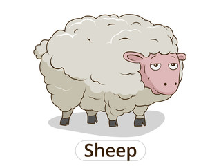 Sheep animal cartoon illustration for children