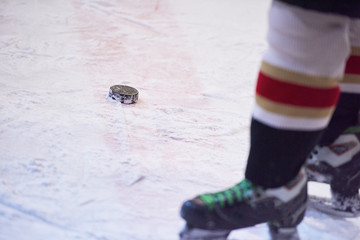 ice hockey player in action