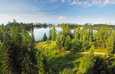 Obraz premium Tatras green forest - Strbske pleso, Slovakia