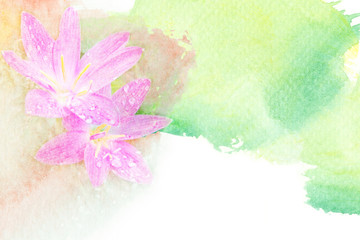 Fototapeta na wymiar Flower watercolor illustration.