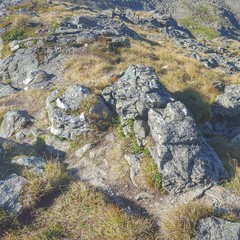 Bergwelt - Felsen