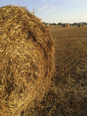 hayroll on field