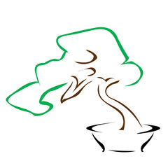 Obraz premium bonsai