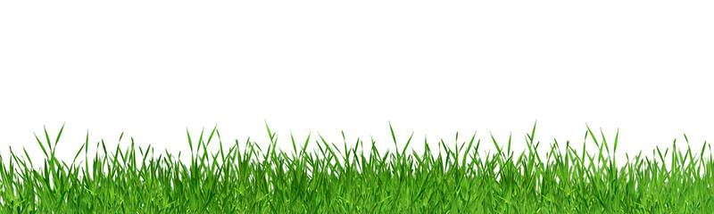 Green grass 