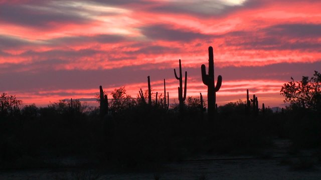 The sunsets on the horizon of a desert landscape.