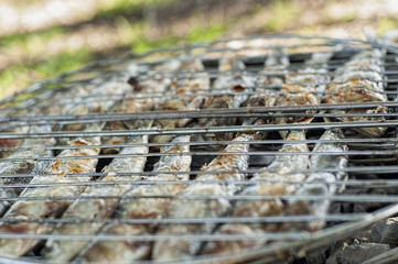 sardines on barbacue