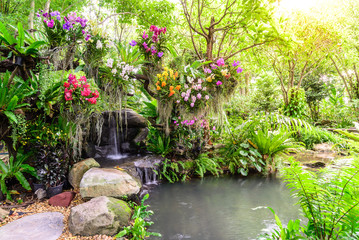 Beautiful orchid garden with waterfall.