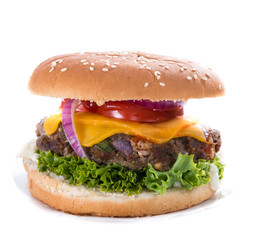 Homemade Burger isolated on white