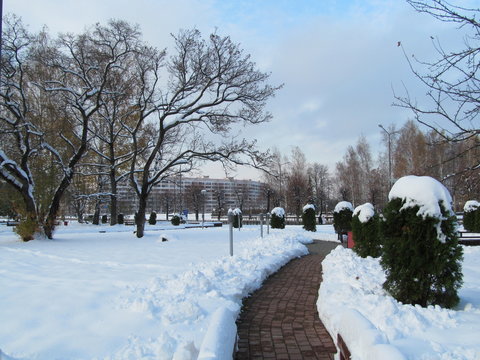 городской зимний парк