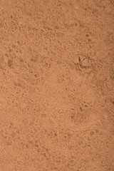 Cola Nut Powder background image