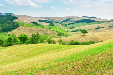 Rolling hills landscape in Tuscany, Italy.