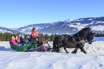 Ausflug mit dem Pferdeschlitten in herrlicher Winterlandschaft