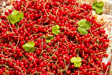 Red currants for background