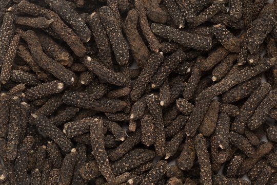 Organic Long pepper Dried Fruit (Piper longum) closeup background texture.