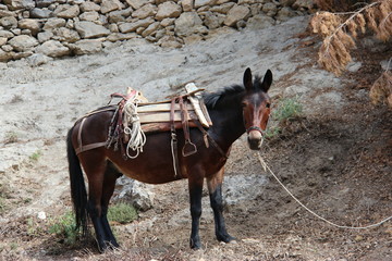 Gorges de Samaria