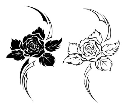 Rose Thorn Tattoo Images  Browse 1615 Stock Photos Vectors and Video   Adobe Stock