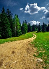 Fototapeta premium Mountain Road