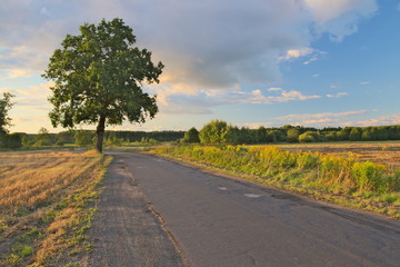 Wiejska droga.