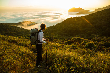 Hiker enjoying the Sunset and Rain Forest