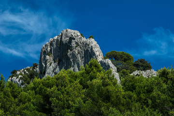 Dentelles de Montmirail
