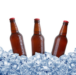 Bottles in ice
