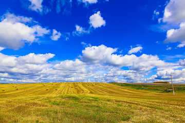 Fototapeta premium Yellow Round Straw Bales on Stubble Field