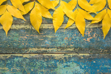 Autumn Leaves over wooden background 
