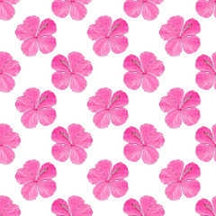 Hibiscus. Seamless pattern with flowers. Hand-drawn background