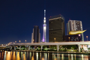 Tokyo skyline night.
