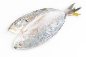 Fresh fish food on ice, white background.