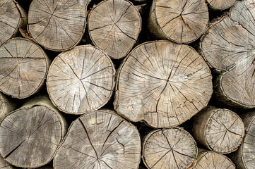 Naklejka premium Wood texture background