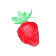 Strawberry. Hand-drawn berry. Real watercolor drawing. Vector