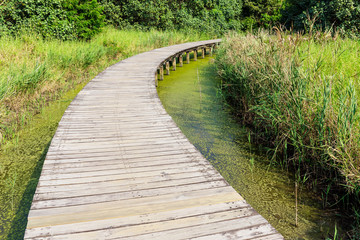 Wooden walkway