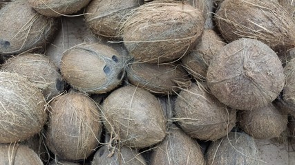 Coconuts