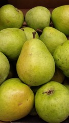 Pears