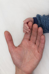 Fototapeta premium baby hand holding fathers finger