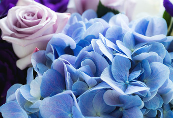 Hydrangea and rose close up