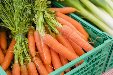 Fresh organic carrots at farmers market