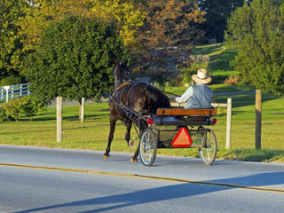 Amish Horse and Carriage