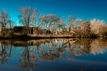 Reflejos en el río