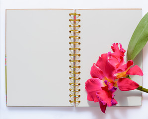 Notebook with colorful orchid flower