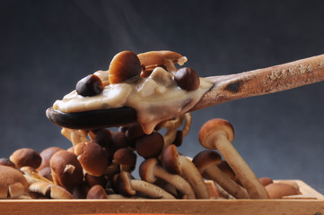 Agrocybe aegerita Полёвка цилиндрическая Südlicher Ackerling 柳松茸 Seta de chopo เห็ดโคนญี่ปุ่น Jablanovača Funghi Tuvad åkerskivling Pioppini 茶树菇 mushroom velvet 