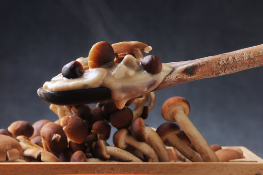 Agrocybe aegerita Полёвка цилиндрическая S&uuml;dlicher Ackerling 柳松茸 Seta de chopo เห็ดโคนญี่ปุ่น Jablanovača Funghi Tuvad &aring;kerskivling Pioppini 茶树菇 mushroom velvet 